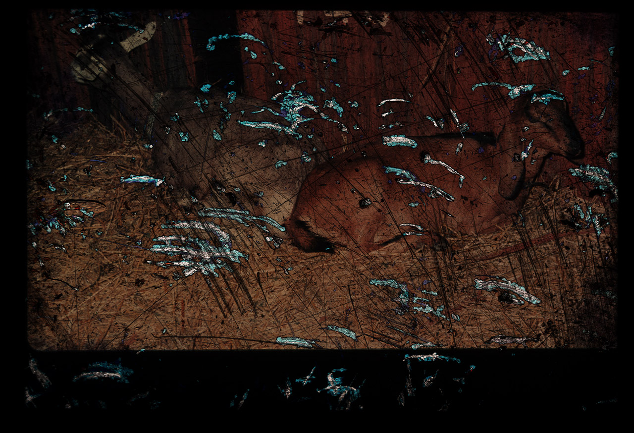 Gunter Christmann, EUREKA - 44/80, 1982