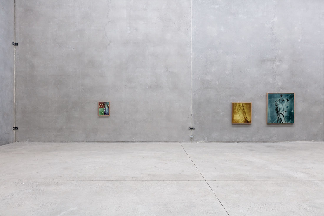 installation view: Amanda Williams — On the Action of the Rays of the Solar Spectrum, at The Commercial, Sydney, 2023