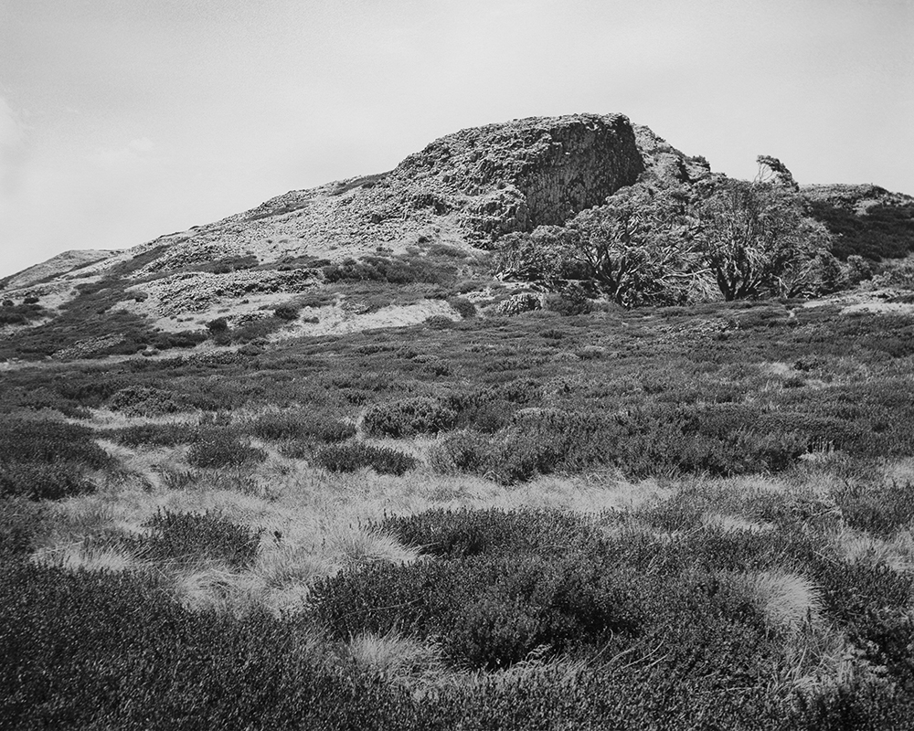 Amanda Williams, Bogong High Plains, Alpine National Park (4582/18), 2020