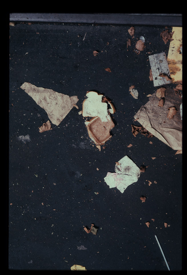 Gunter Christmann, NEW YORK - 42/80, 1978