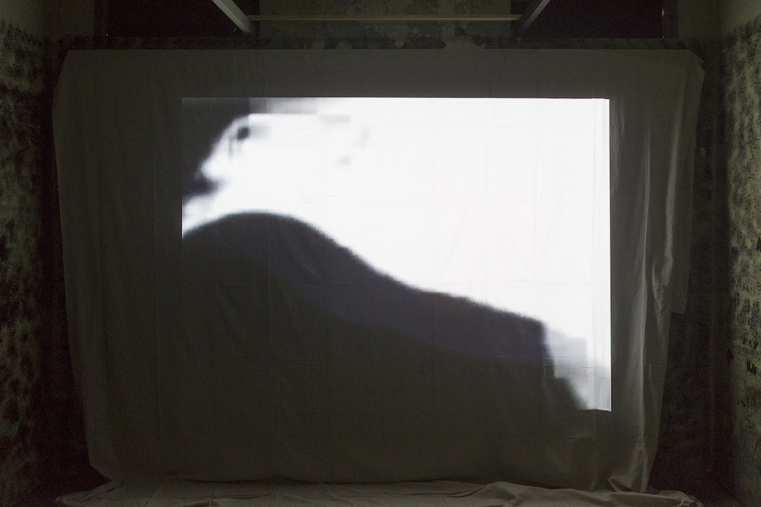 Nigel Milsom, Judo house part 6 (the white bird), 2016