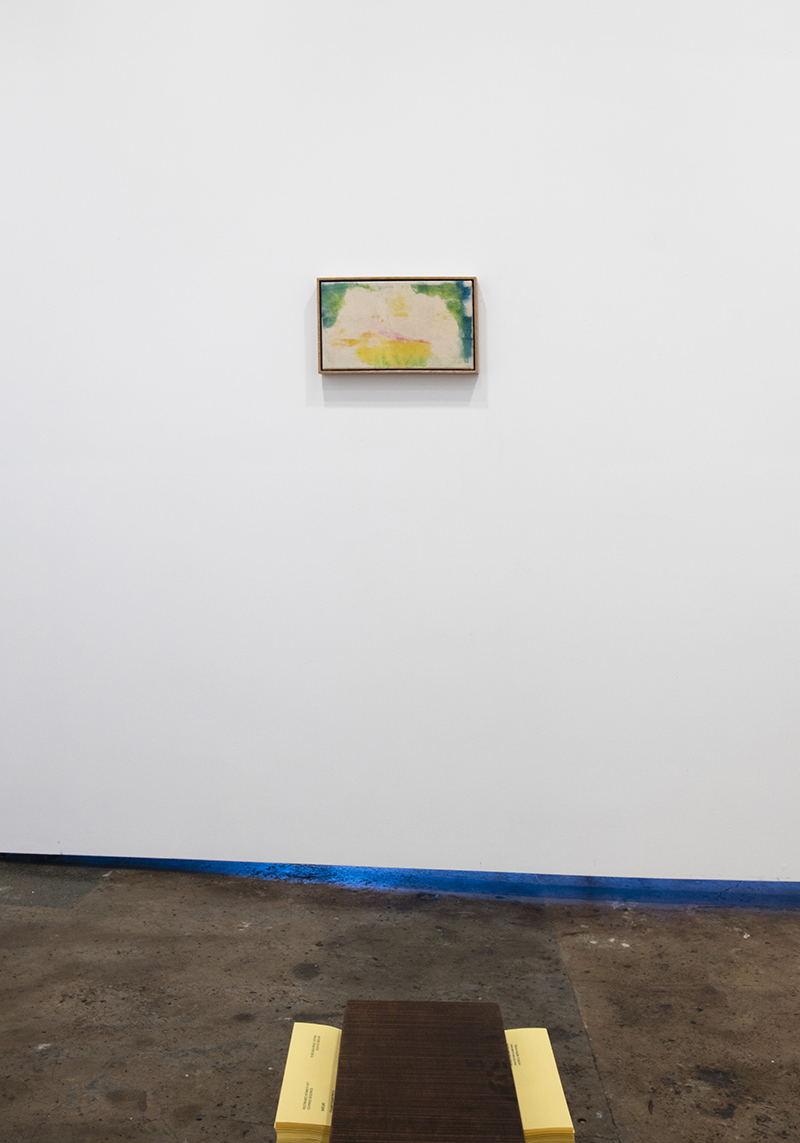 installation view: Agatha Gothe-Snape - Volatile Medium, 2016 | at The Commercial Gallery, Sydney