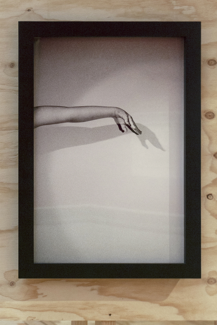 installation view: Amanda Williams, Or your shadow, rising to meet you, 2020, in Archie Plus, Art Gallery of New South Wales, Sydney