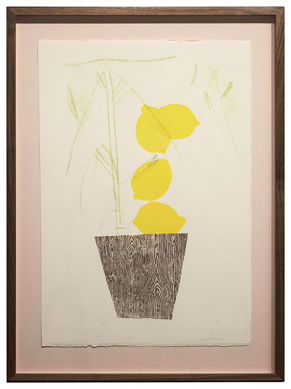 Mitch Cairns, TASTE 2, 2019