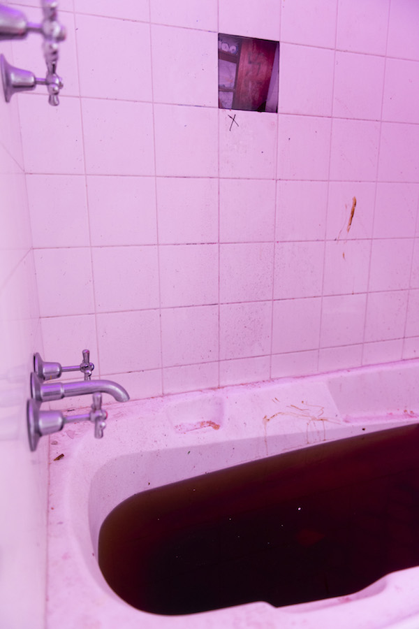 installation view: Archie Moore, HouseShow, 2020, mixed media installation, The Cottage, 272 Montague Road, West End, Brisbane