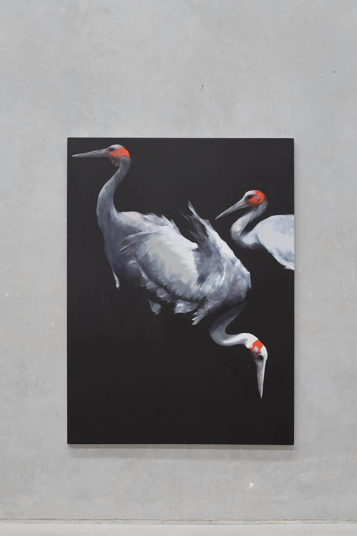 Nigel Milsom, Judo-House part 10 (plain crazy), cat. 4 — installation view