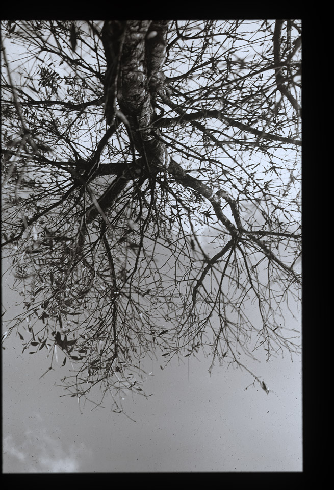 Gunter Christmann, SYDNEY - 4/80, 1974