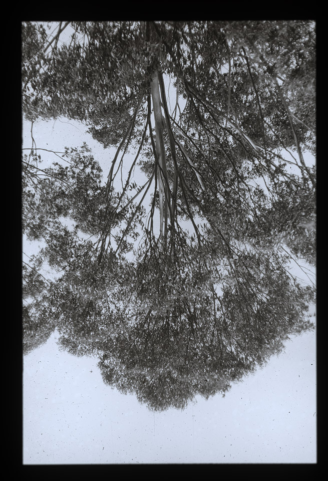 Gunter Christmann, SYDNEY - 36/80, 1974