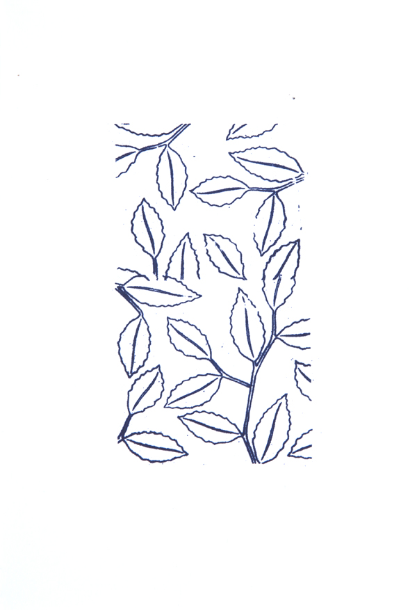 Mitch Cairns, Nature Study, 2012