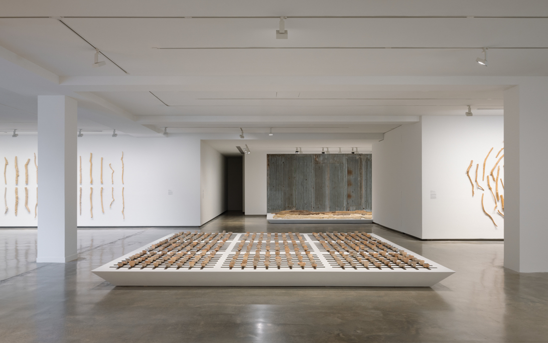 installation view: Yasmin Smith, Elemental Life, 2025 - MCA