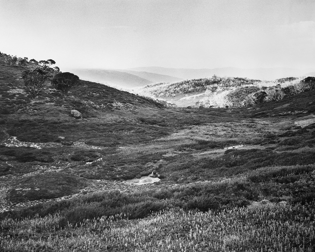 Amanda Williams, Bogong High Plains, Alpine National Park (4582/9), 2020