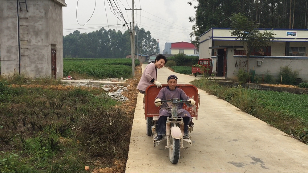 Collecting green tea for glaze-making, Sichuan Province, China