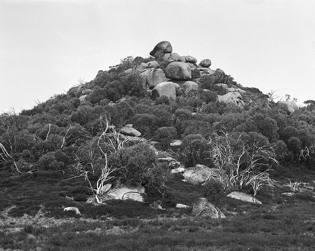 Amanda Williams, The Alpine Moth 3, 2021