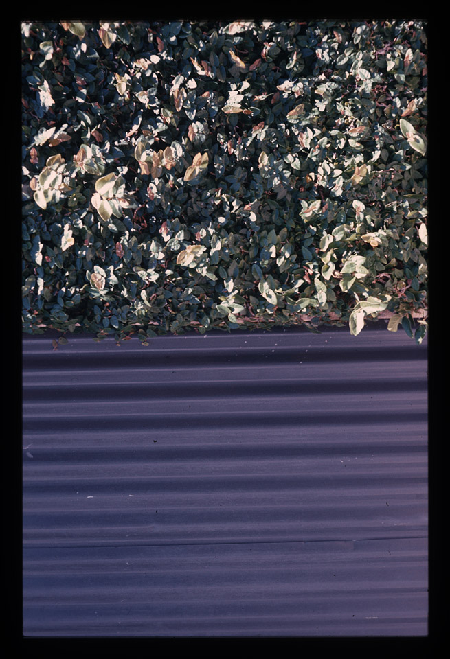 Gunter Christmann, 50/50 - 29/80, 1974