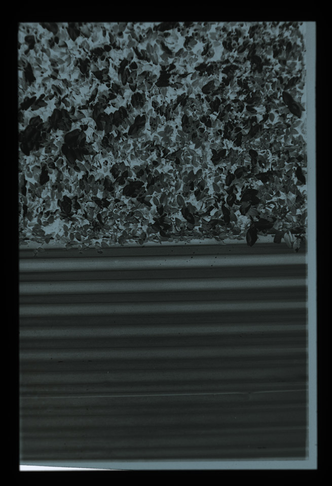 Gunter Christmann, 50/50 - 30/80, 1974