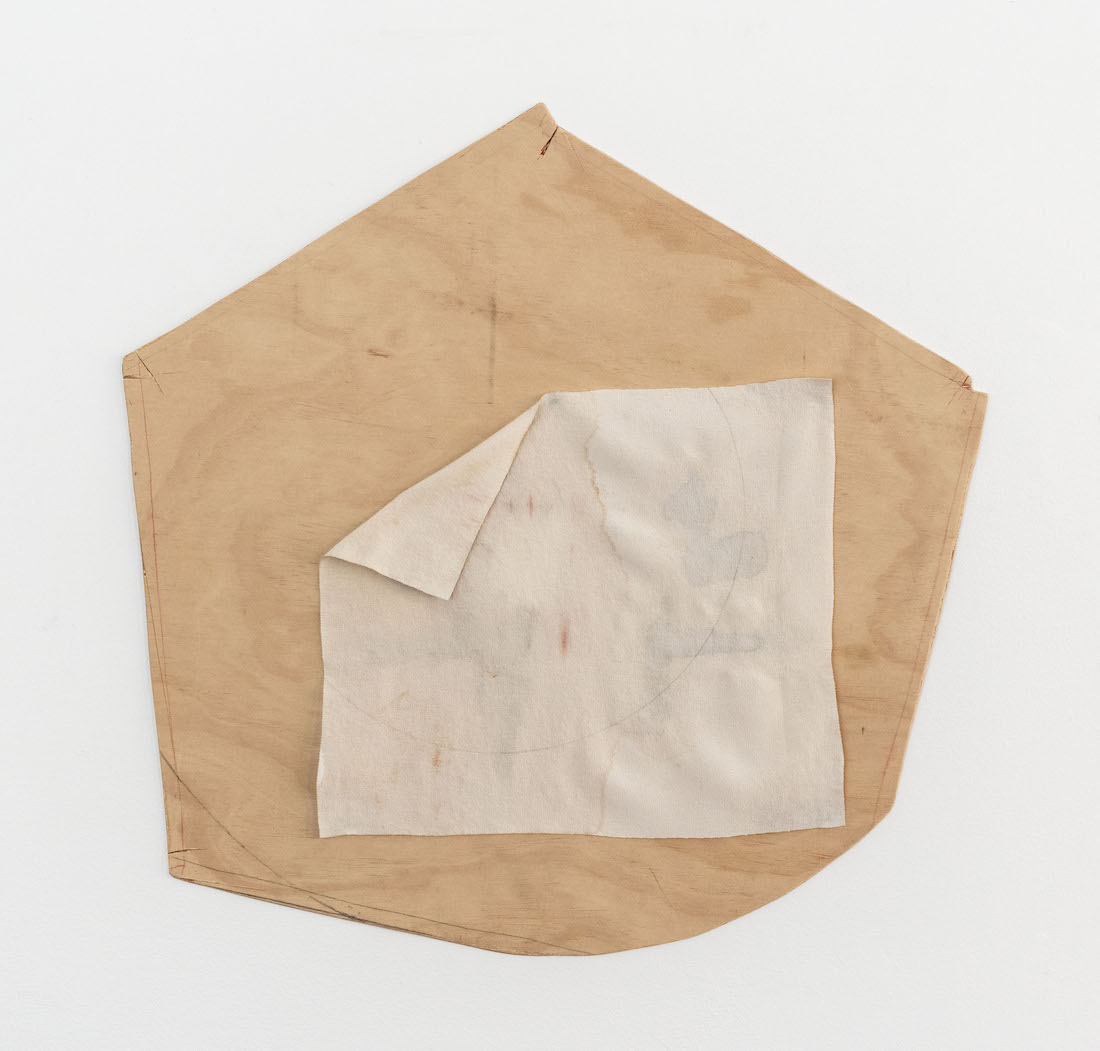 Patrick Hartigan, Snake Charmer, 2024