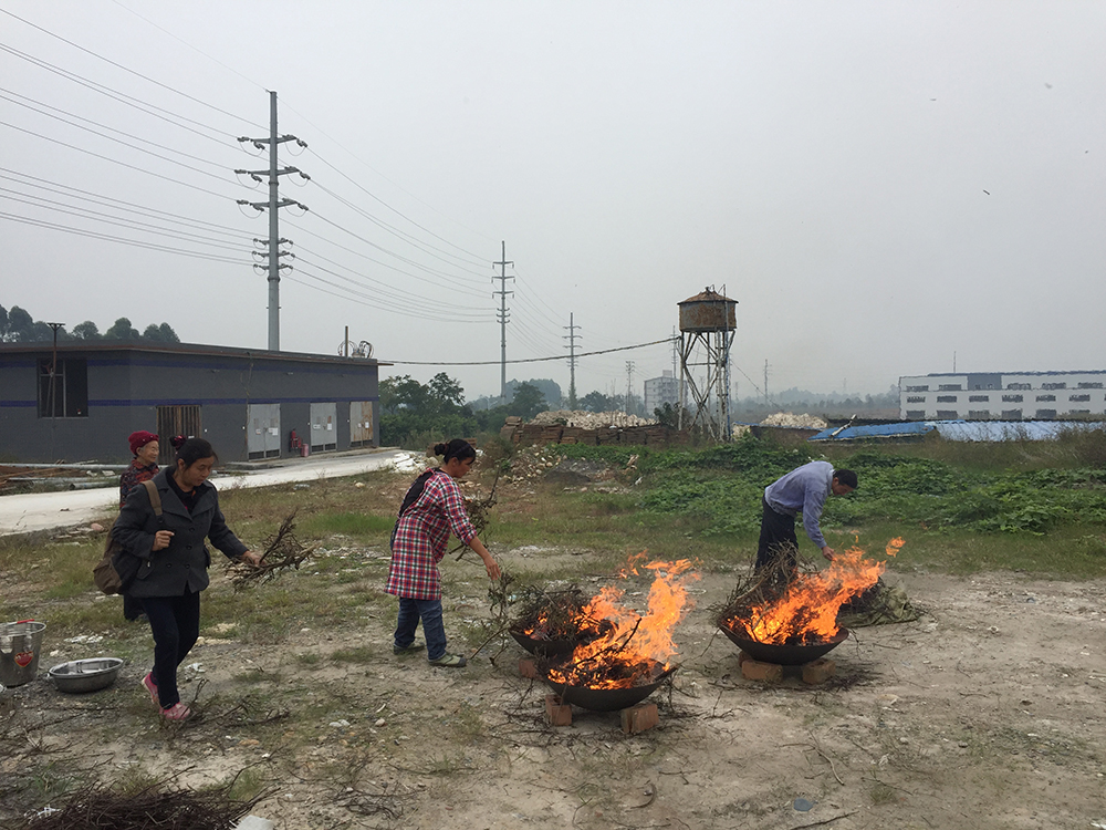 Factory workers watching green tea branches burn, Sichuan Province, China