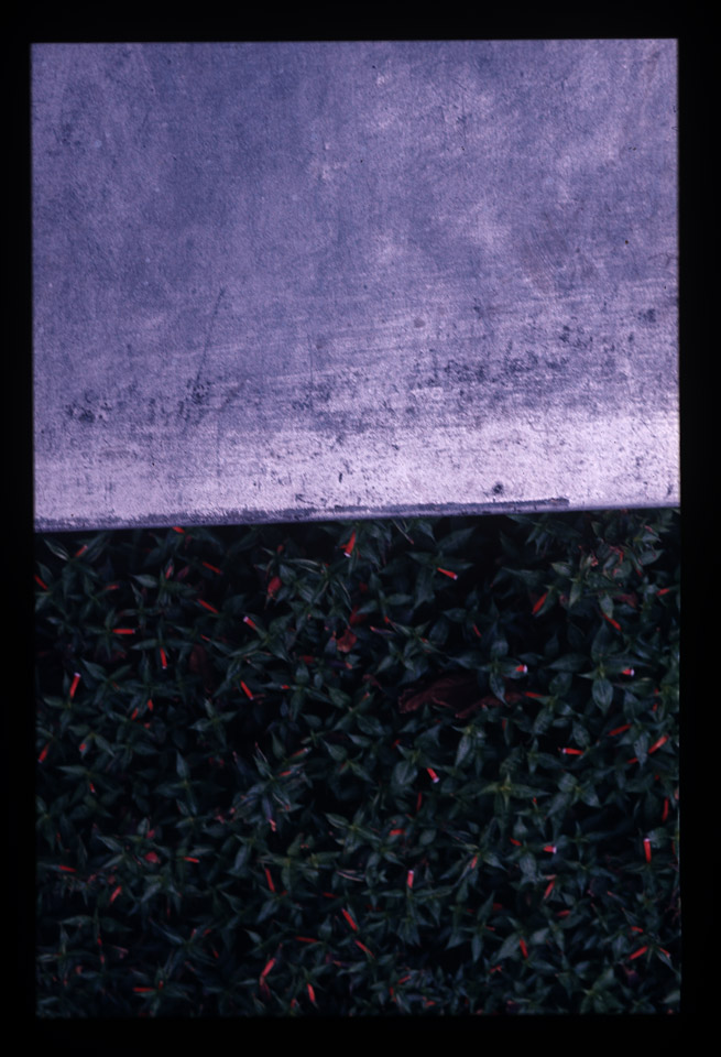 Gunter Christmann, 50/50 - 9/80, 1974