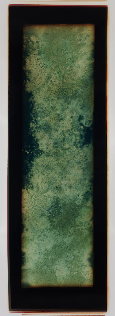 Amanda Williams, Chemigram experimental eucalypt plantation (version 2) 3, 2023