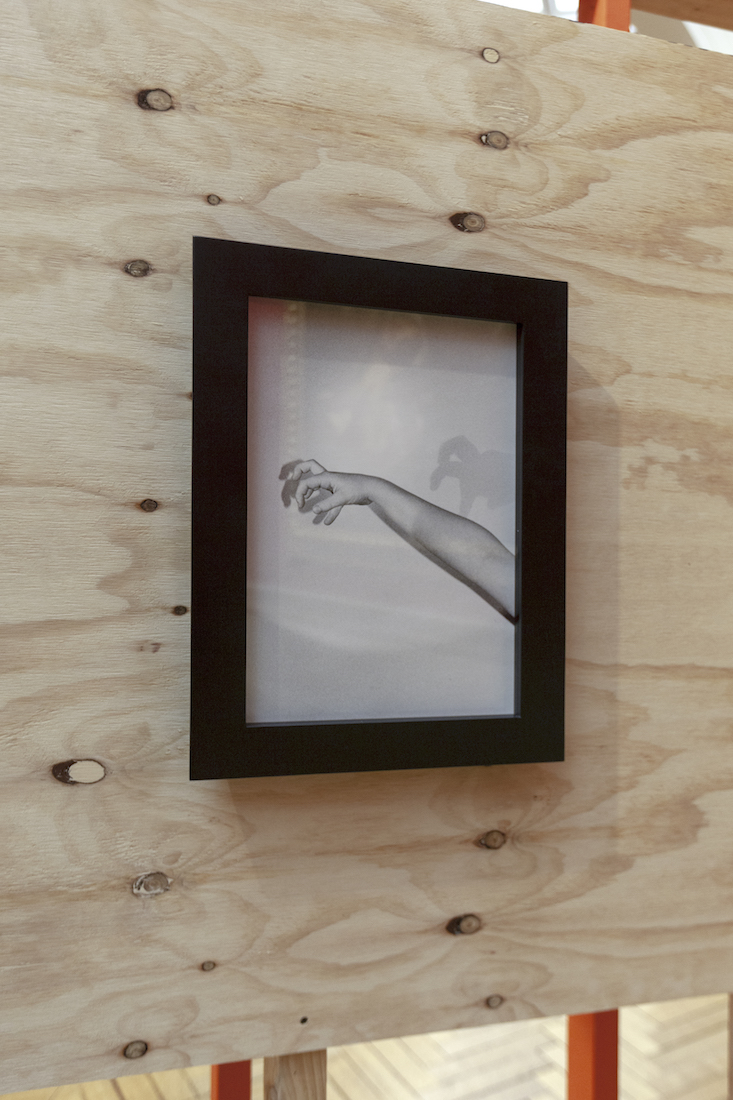 installation view: Amanda Williams, Or your shadow, rising to meet you, 2020, in Archie Plus, Art Gallery of New South Wales, Sydney