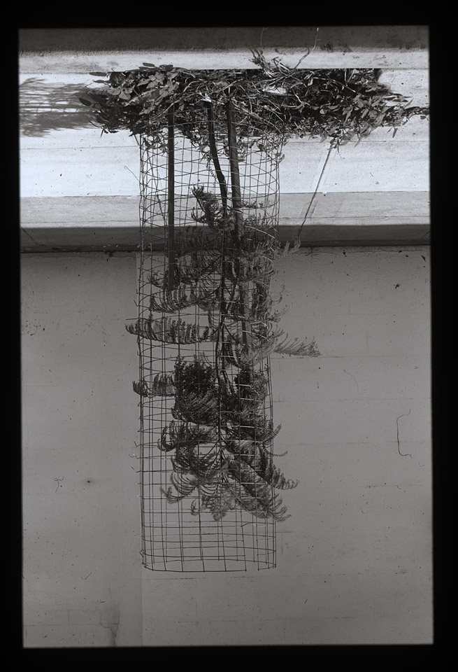 Gunter Christmann, SYDNEY - 54/80, 1974