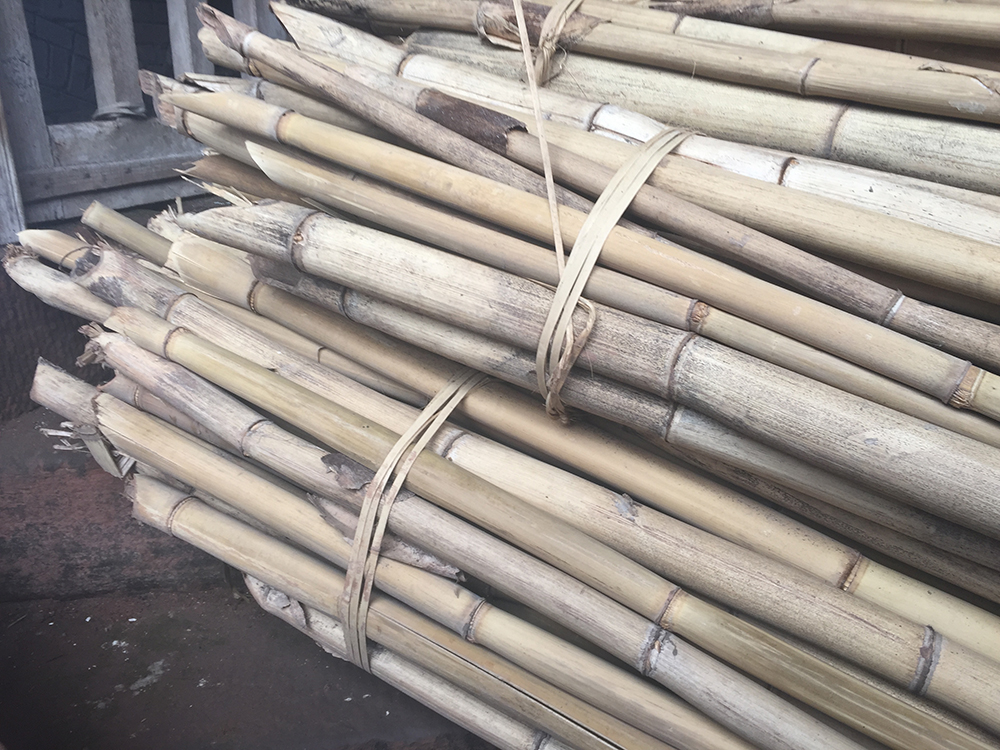 Bamboo from Shiyan Village, Sichuan Province
