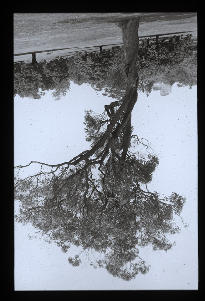 Gunter Christmann, SYDNEY - 50/80, 1974