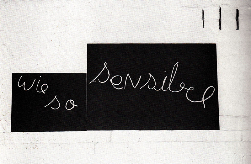 Diena Georgetti, wie so primitia, wie so sensibel, 1992