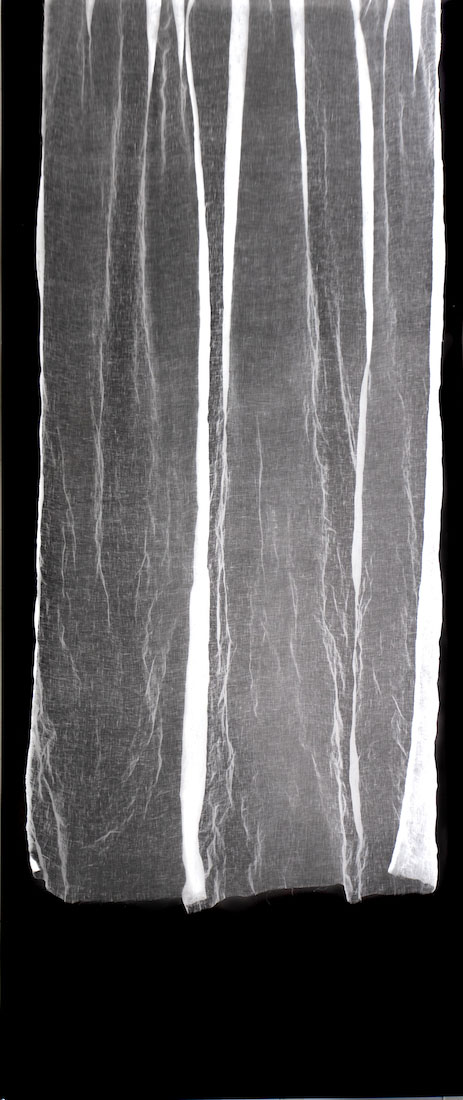 Amanda Williams, Untitled Photogram (linen) III, 2023