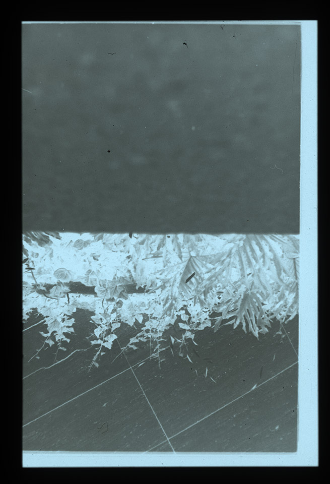 Gunter Christmann, 50/50 - 76/80, 1974