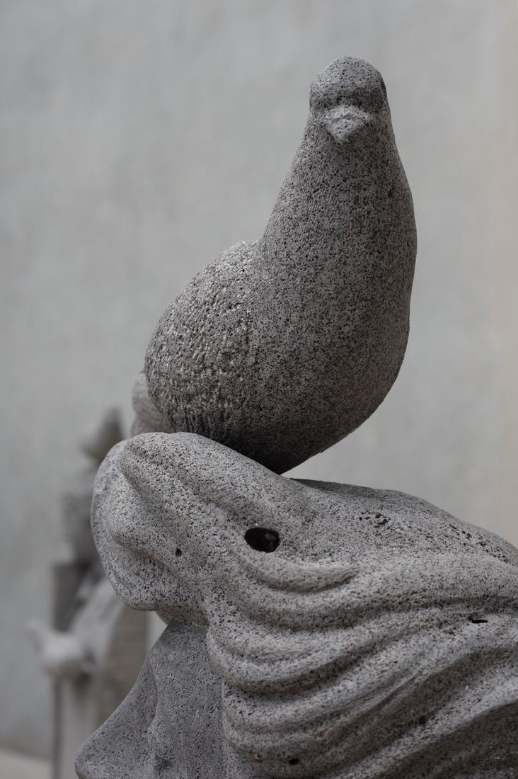 Stephen Ralph, Messenger, 2025 - pigeon and hair detail