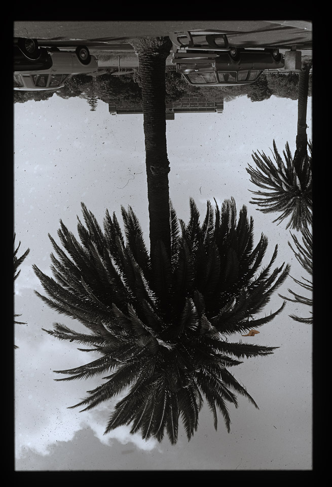 Gunter Christmann, SYDNEY - 14/80, 1974