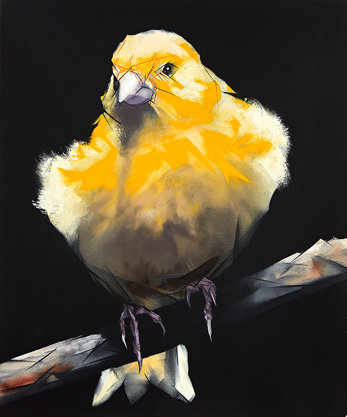 Nigel Milsom, Judo-House part 9 (birdland), 2020