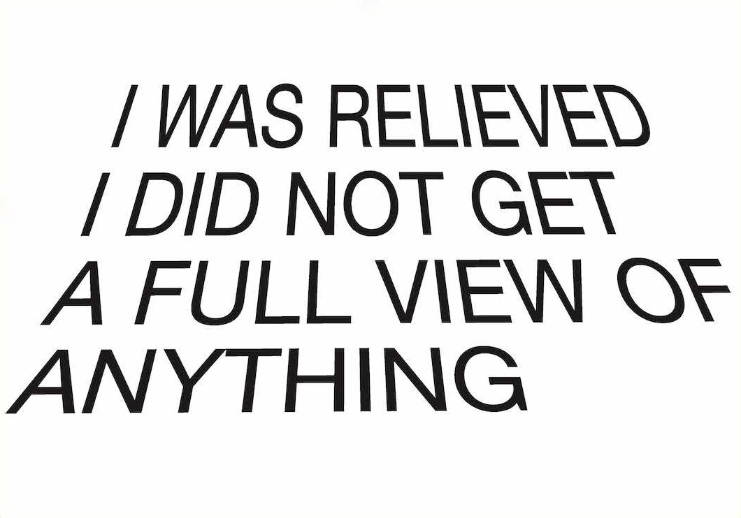 Agatha Gothe-Snape, Full View, 2014