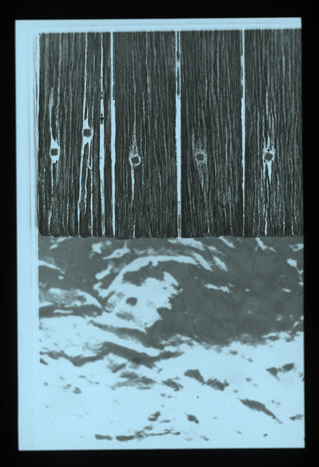 Gunter Christmann, 50/50 - 34/80, 1974