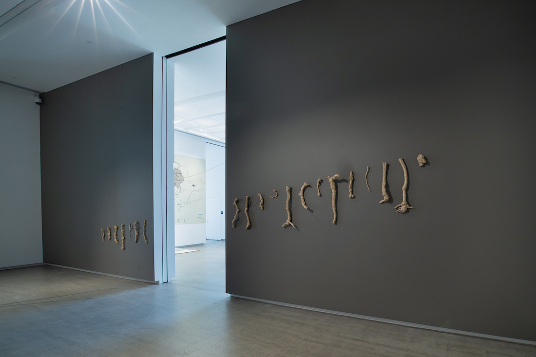 installation view: Yasmin Smith, Terroir, 2020, in TarraWarra Biennale 2021: Slow Moving Waters, TarraWarra Museum of Art, Tarrawarra