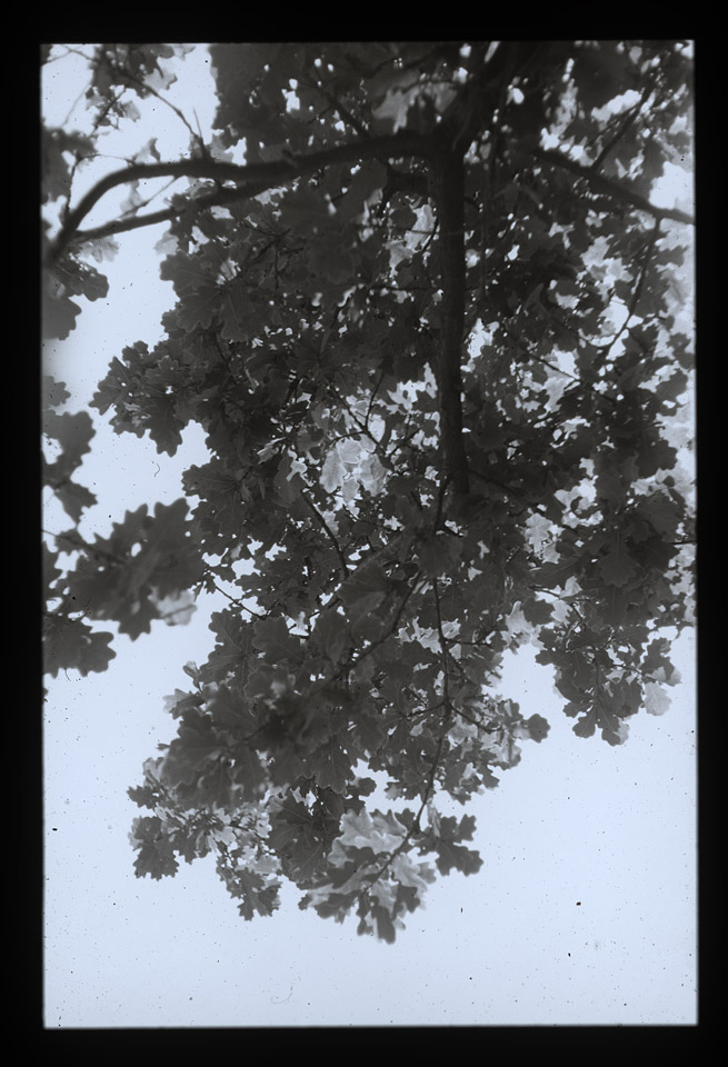 Gunter Christmann, SYDNEY - 68/80, 1974