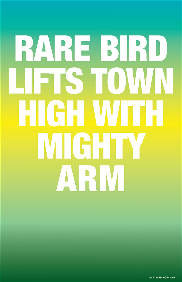 Agatha Gothe-Snape, Headliners with Gary Bird, 2011