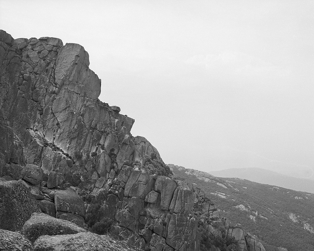 Amanda Williams, the Alpine Moth 7, 2021