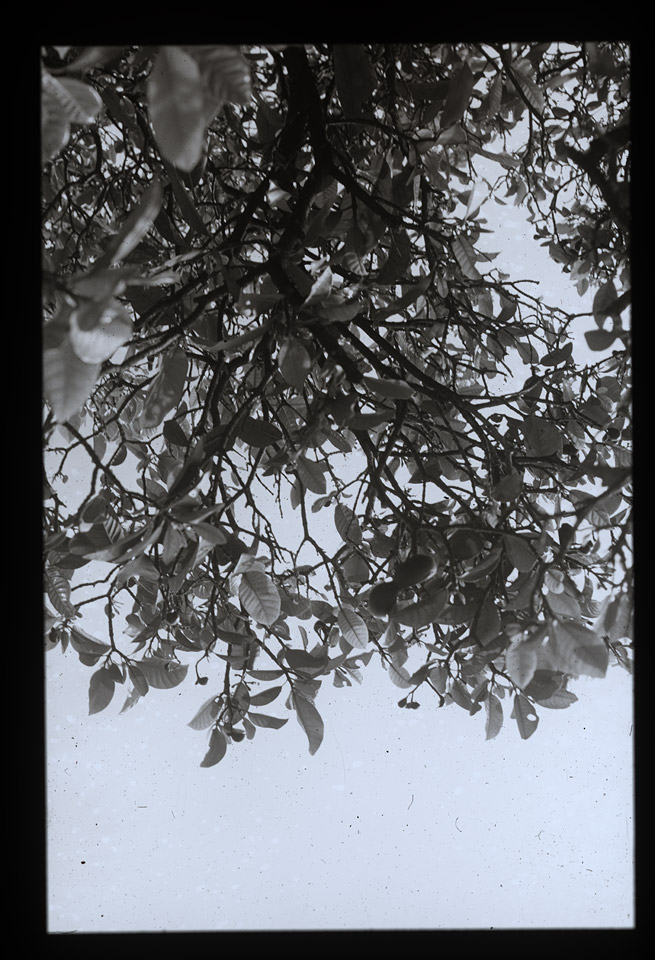 Gunter Christmann, SYDNEY - 48/80, 1974