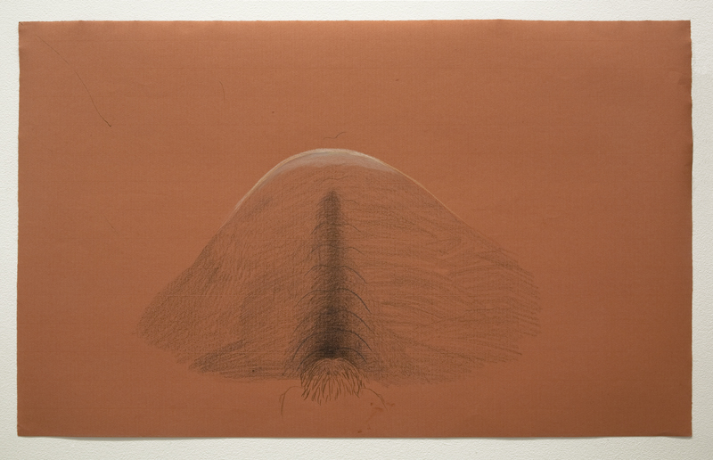 Clare Milledge, Transition, 2013