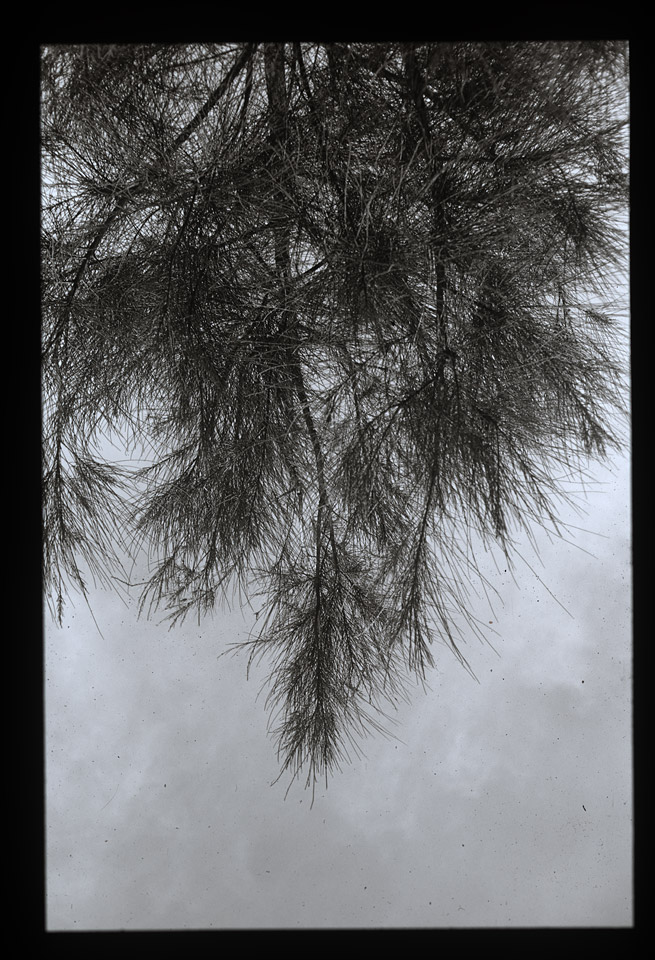 Gunter Christmann, SYDNEY - 78/80, 1974