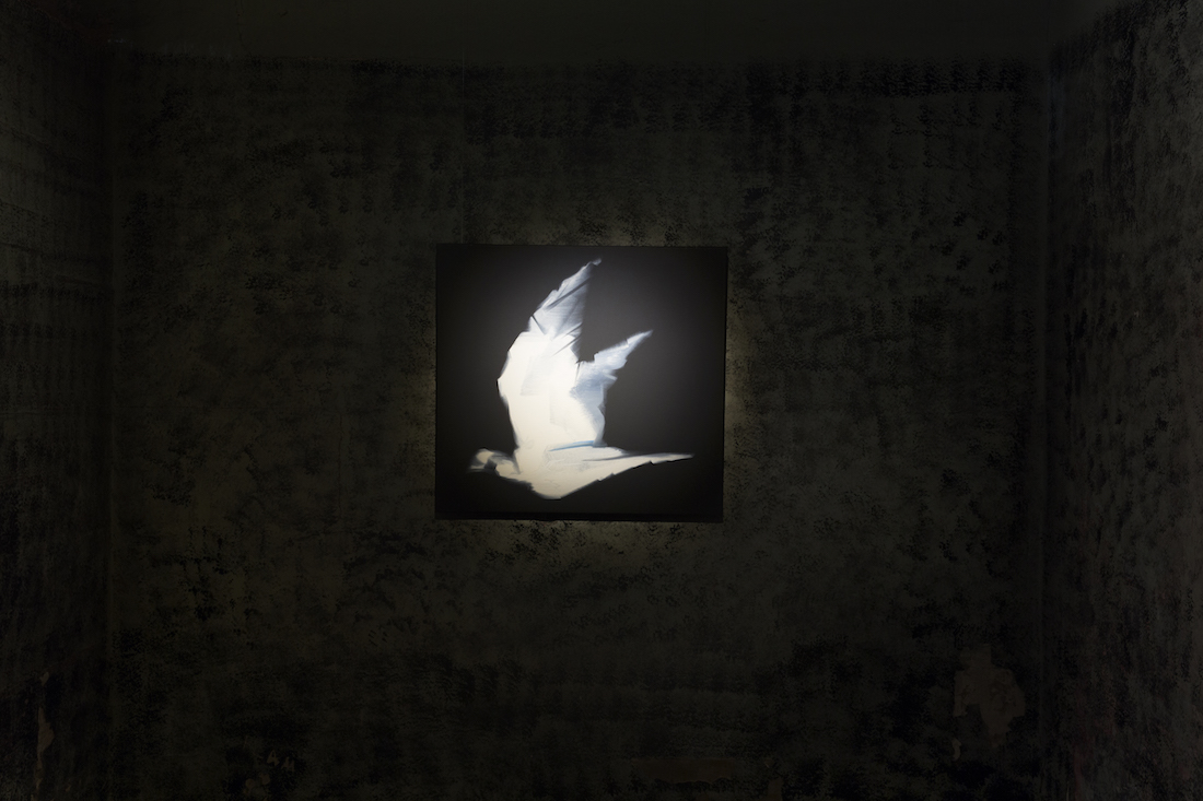 Nigel Milsom, Judo house part 6 (the white bird), 2016