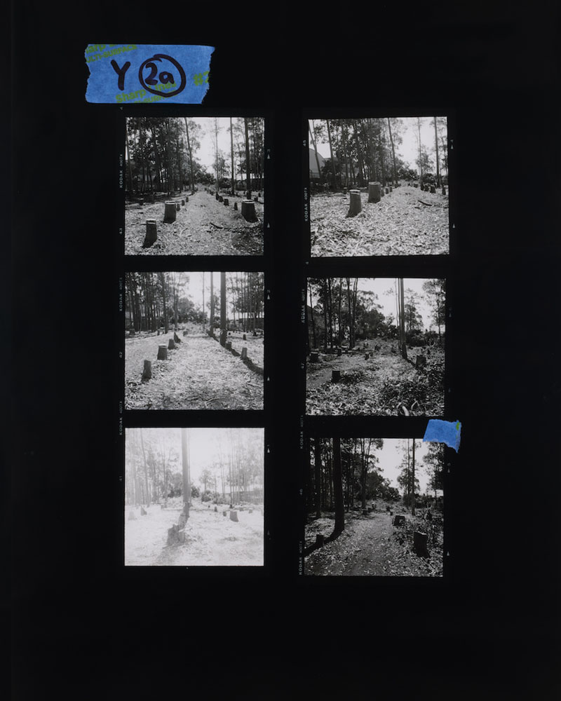 Amanda Williams, Proof sheet enlargement (Post-removal), 2023