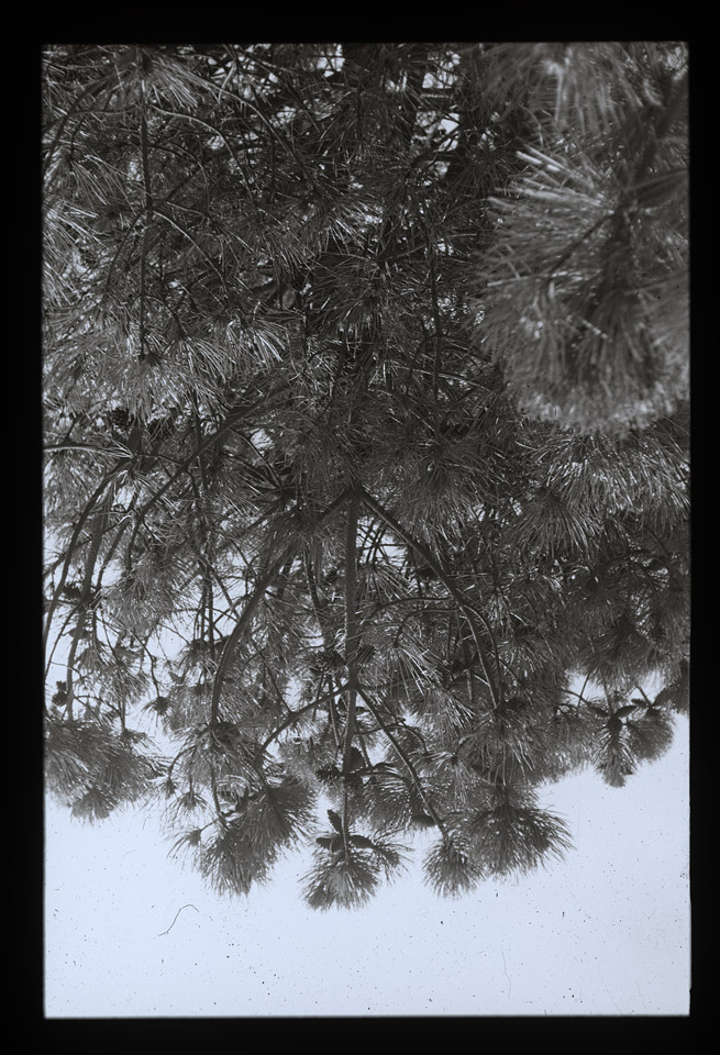 Gunter Christmann, SYDNEY - 56/80, 1976