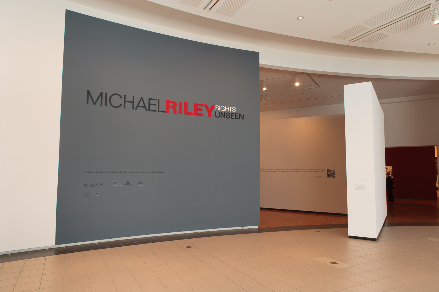 MICHAEL RILEY: sights unseen