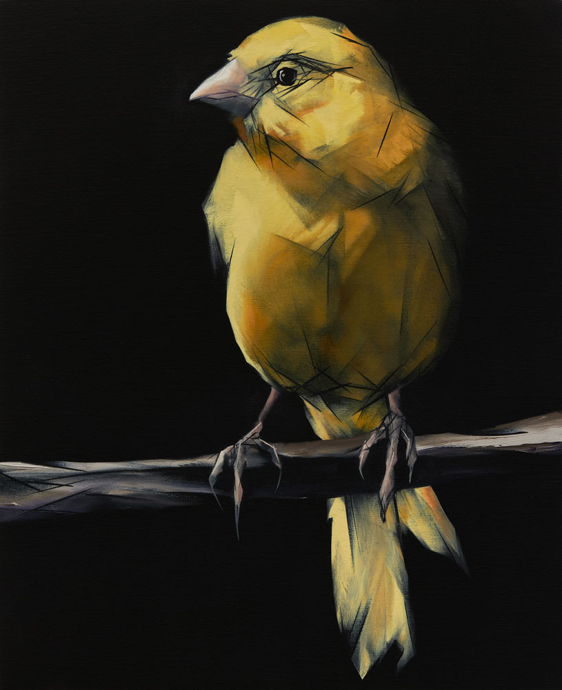 Nigel Milsom, Judo-House part 9 (birdland), 2020