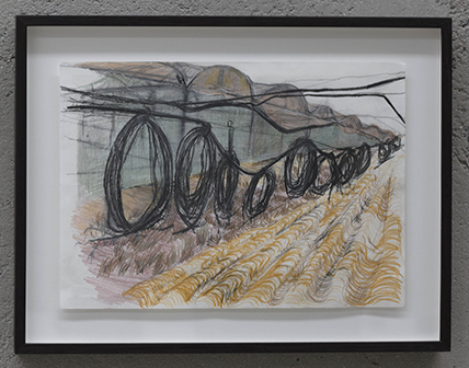 Bonita Bub, Moshav II, 2019