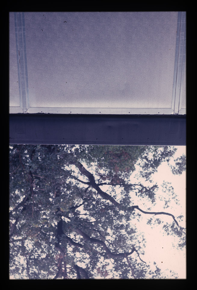 Gunter Christmann, 50/50 - 37/80, 1974