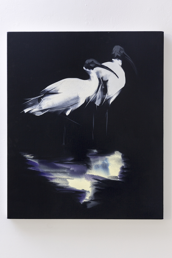 Nigel Milsom, Judo house part 6 (the white bird), 2016